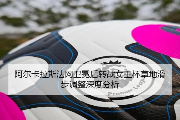 a-er-ka-la-si-fa-wang-wei-mian-hou-zhuan-zhan-nv-wang-bei-cao-di-hua-bu-diao-zheng-shen-du-fen-xi-2-772.jpg
